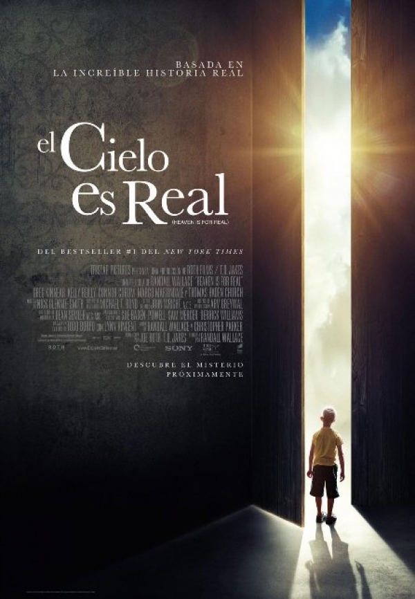 El cielo es real (2014)